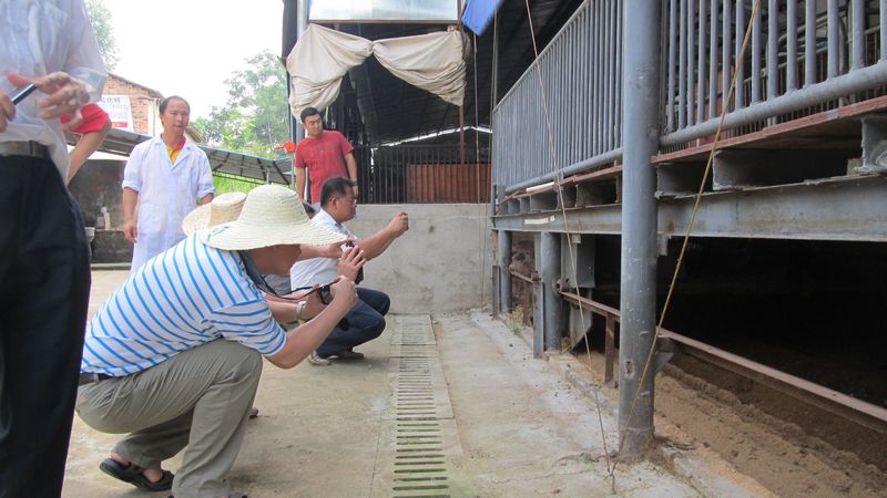 dvubb 按此在新窗口浏览图片