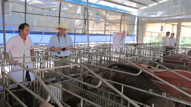 dvubb 按此在新窗口浏览图片