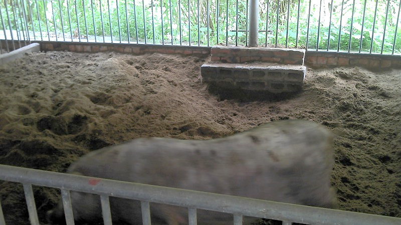 dvubb 图片点击可在新窗口打开查看