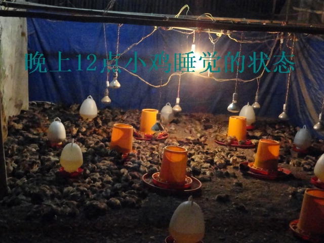 dvubb 图片点击可在新窗口打开查看