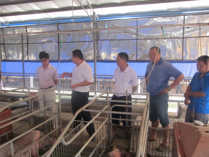 dvubb 图片点击可在新窗口打开查看