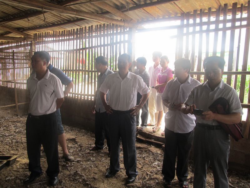 dvubb 图片点击可在新窗口打开查看