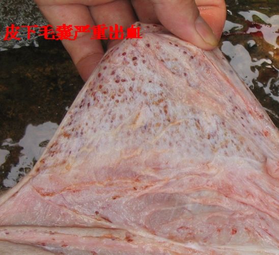 点击在新窗口打开