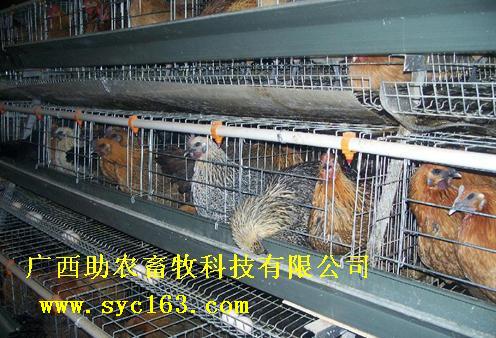 dvubb 按此在新窗口浏览图片