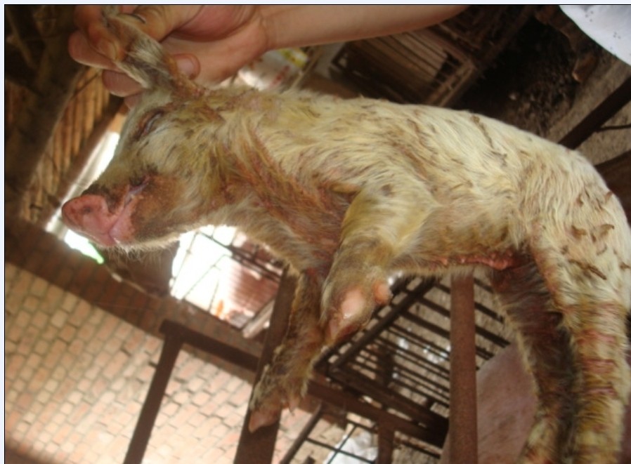 dvubb 按此在新窗口浏览图片