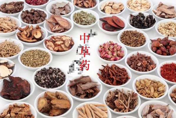 御瘟汤——防控疑似非瘟增加自制发酵中草药体内外运用的原生中草药公开参考组方