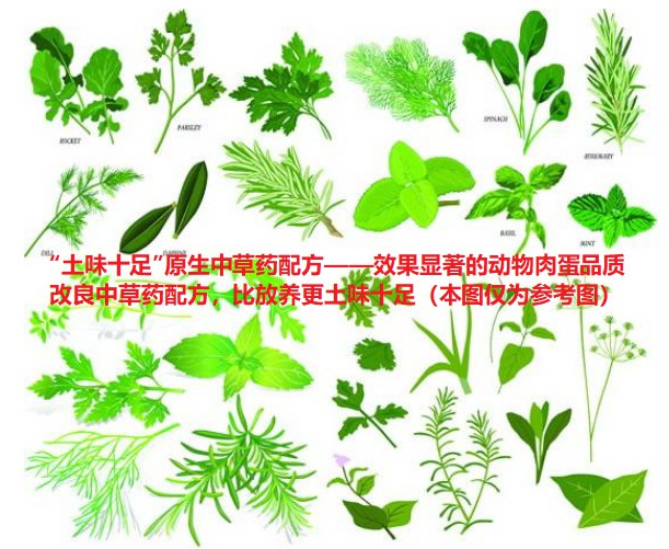 “土味十足”原生中草药配方——效果显著的动物肉蛋品质改良中草药配方，比放养更土味十足