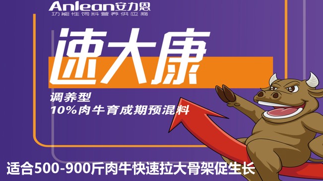 安力恩——速达康调养型10%肉牛育成期预混料-适合500-900斤肉牛快速拉大骨架促生长