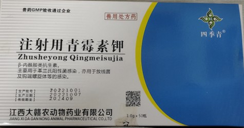 注射用青霉素钾（160万），治疗呼吸道感染、猪丹毒、炭疽病毒、败血症，肺疫、恶性水肿、腹膜炎、脓肿等