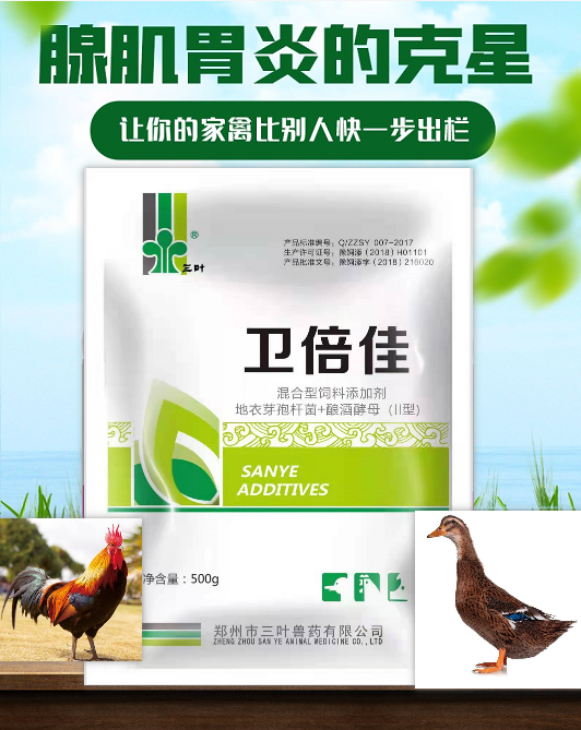 【新产品】腺肌胃炎的克星，让你的家禽比别人更快一步出栏！
