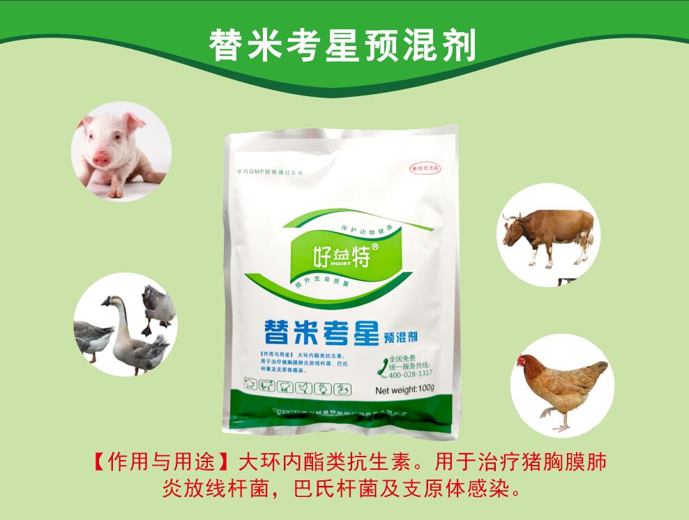 替米考星粉，呼吸道病更好的抗生素，主要防治家畜肺炎(由胸膜肺炎放线杆菌、巴氏杆菌、支原体等感染引起)、禽支原体病及泌乳动物的乳腺炎。