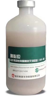 肺必应——山羊传染性胸膜肺炎灭活疫苗（C87-1株）
