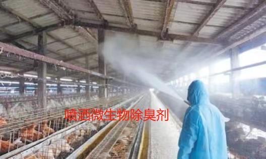 微信图片_20241107095139.jpg