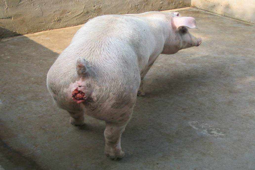 微信图片_20241220094306.jpg 微信图片_20241220094306.jpg