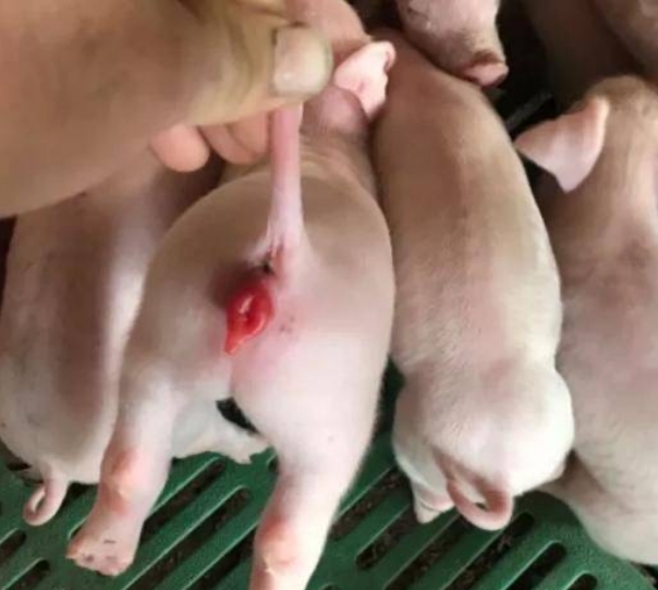 微信截图_20241220094324.jpg 微信截图_20241220094324.jpg