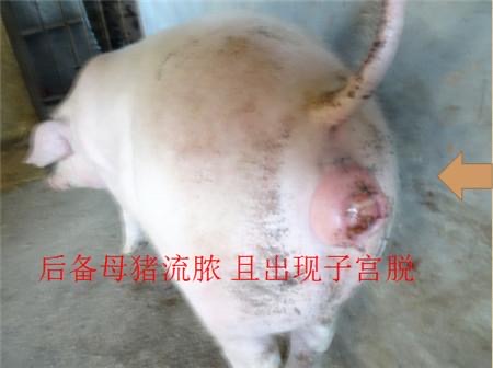 微信图片_20241220094301.jpg 微信图片_20241220094301.jpg