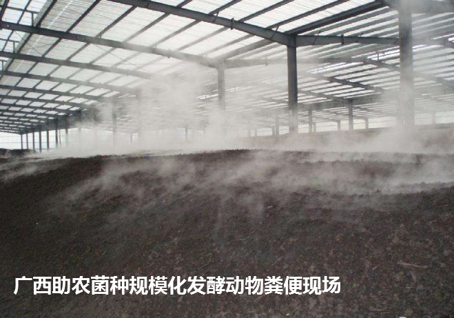 高热腐熟菌（案例发酵现场）.png