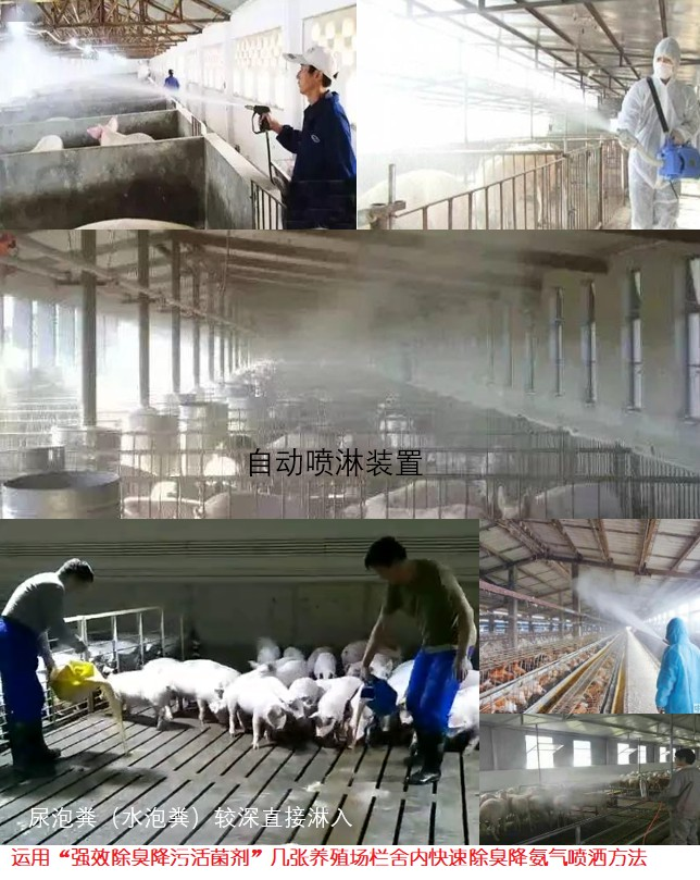 QQ图片20250225112319.png