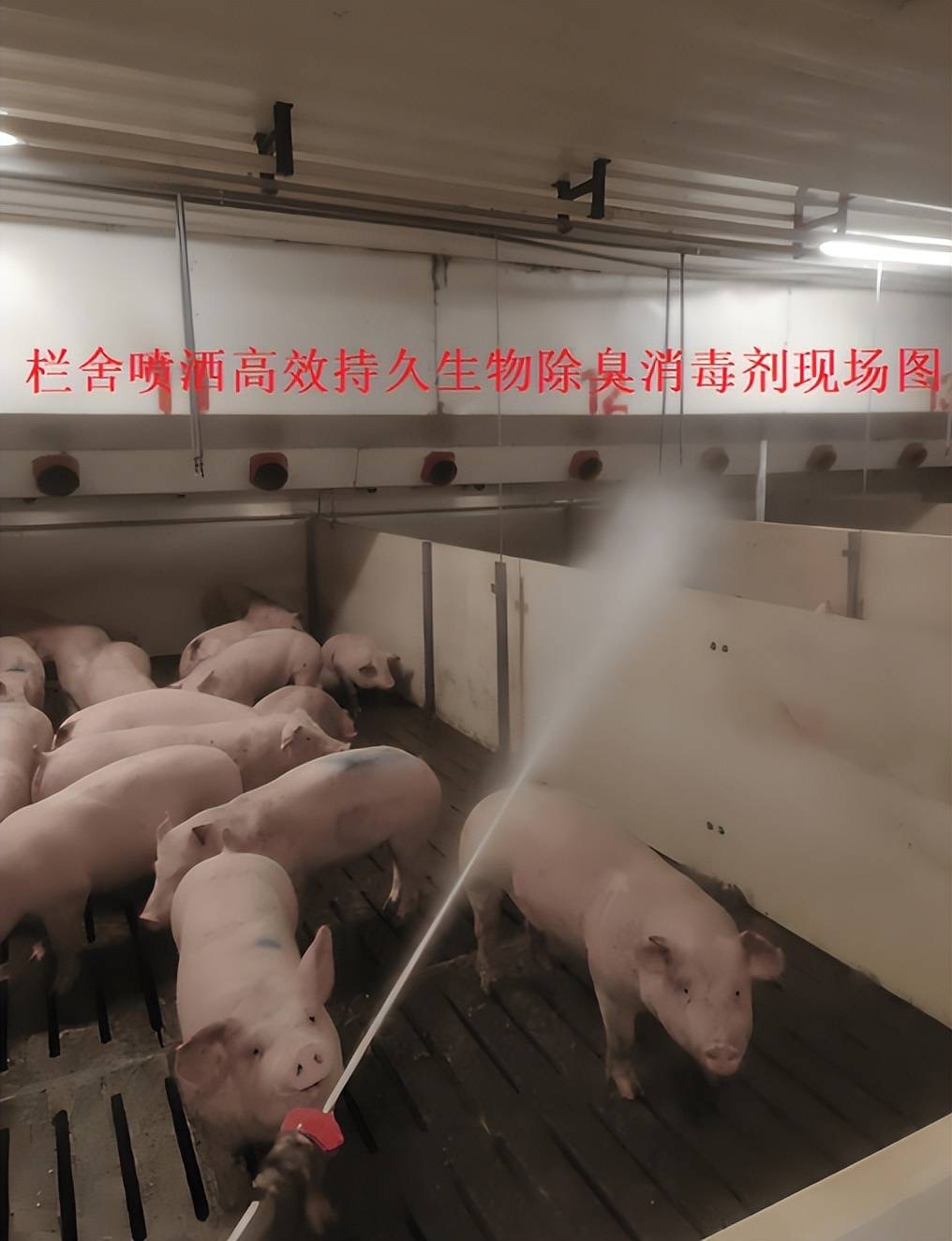 微信图片_20250226101910.jpg