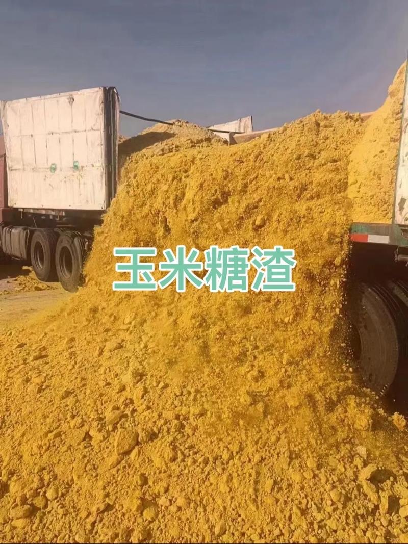 微信图片_20250325100556.jpg