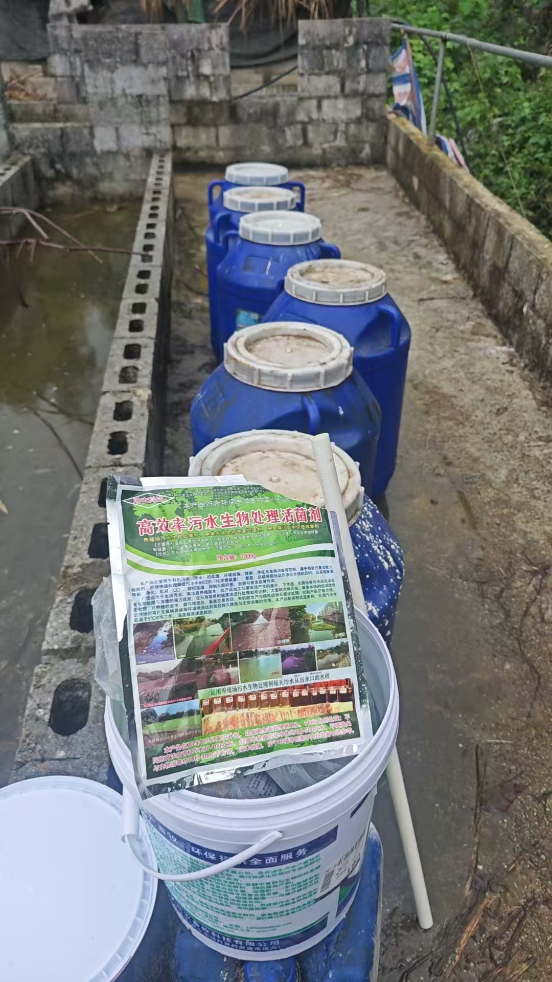 菌液发酵中.jpg