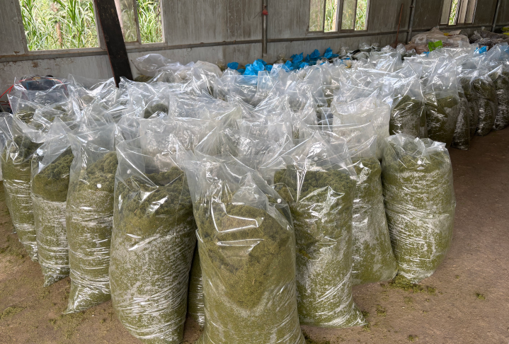 发酵牧草4.png