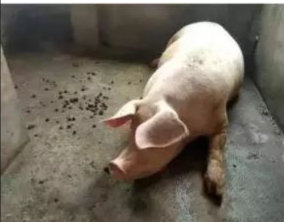 截图20250804101148.png