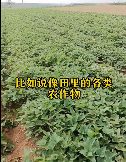 截图20250903094155.png