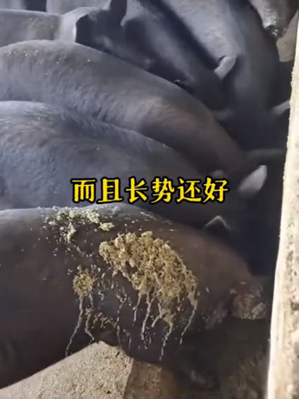 截图20250903094736.png