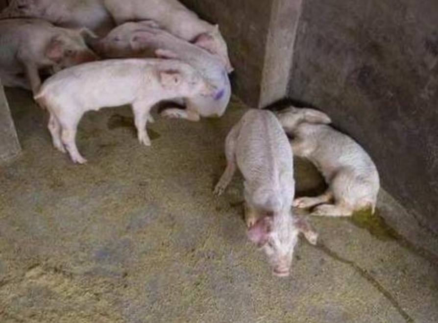 微信截图_20250923092050.jpg 微信截图_20250923092050.jpg