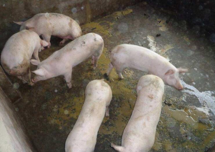 微信图片_20250923092037.jpg 微信图片_20250923092037.jpg