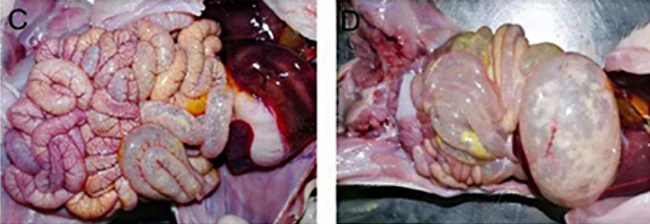 微信截图_20250923092114.jpg 微信截图_20250923092114.jpg