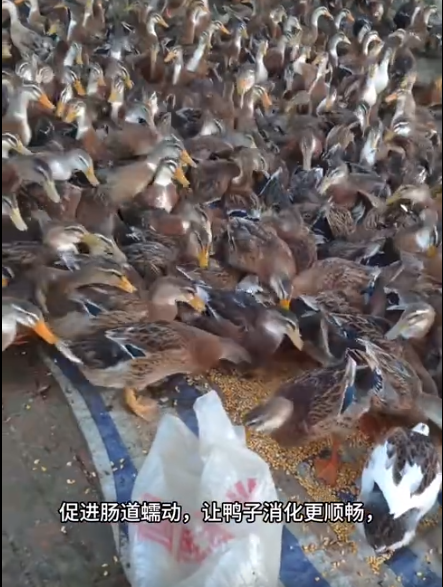 截图20250924092908.png