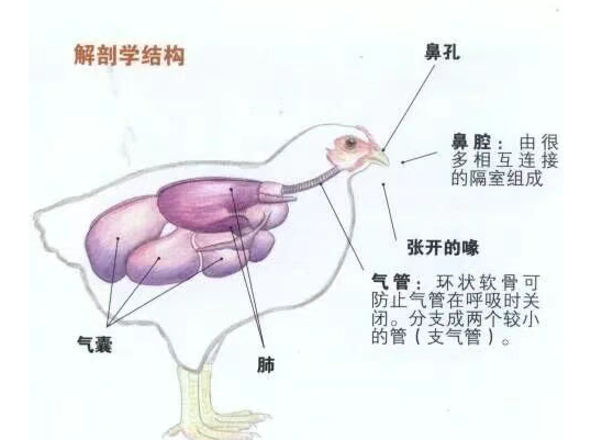 截图20251024091512.png 截图20251024091512.png