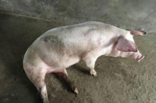 微信图片_20251031094317.jpg 微信图片_20251031094317.jpg