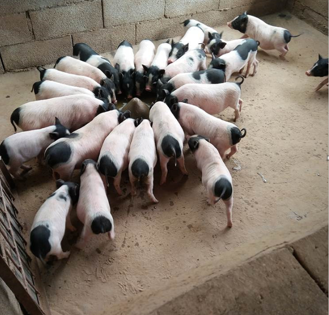 QQ图片20230719121952.png QQ图片20230719121952.png