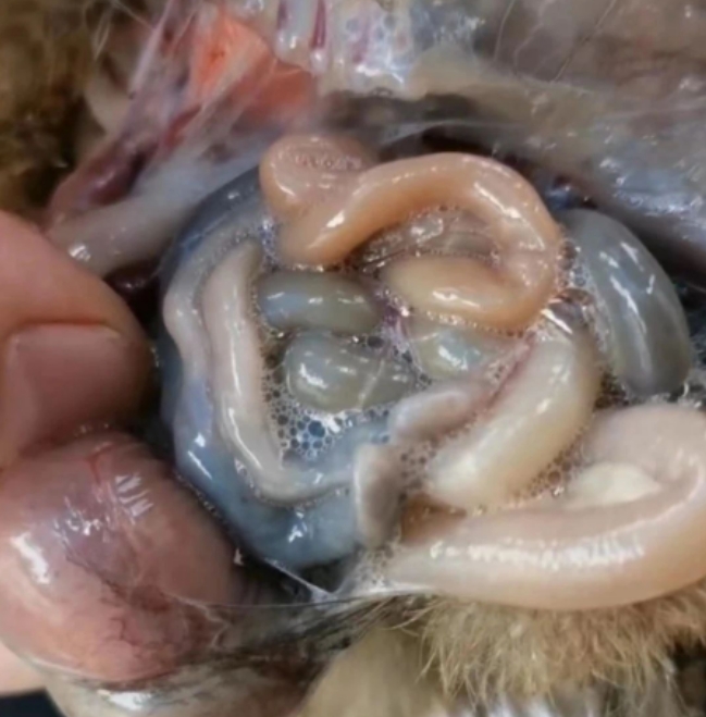 微信截图_20251104091859.jpg 微信截图_20251104091859.jpg