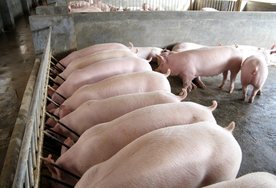 截图20250313103828.png 截图20250313103828.png