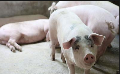 截图20251106104950.png 截图20251106104950.png