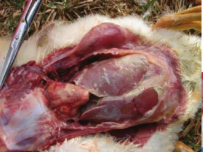 微信图片_20251106111355.jpg 微信图片_20251106111355.jpg