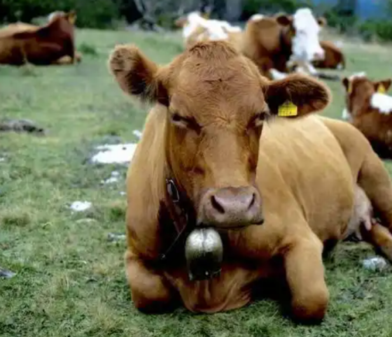 QQ图片20251107145805.png QQ图片20251107145805.png