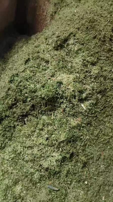 微信图片_20231229103111.jpg 微信图片_20231229103111.jpg