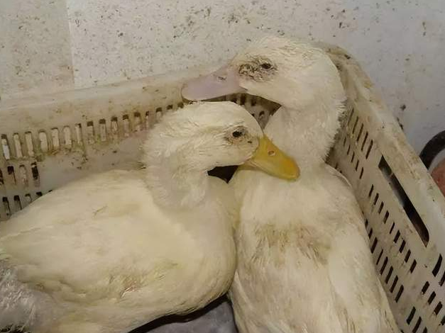 QQ图片20251112103558.png QQ图片20251112103558.png