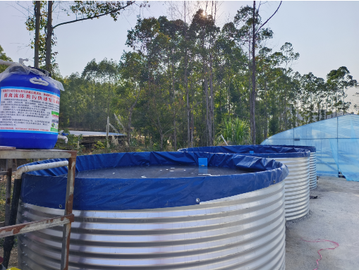 17358791836452894.png 17358791836452894.png