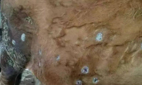 QQ图片20251119104445.png QQ图片20251119104445.png