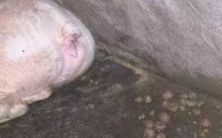 QQ图片20251119115121.png QQ图片20251119115121.png