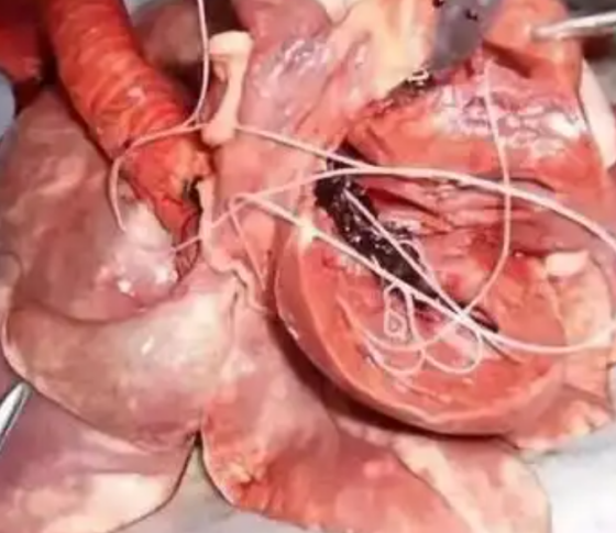 QQ图片20251121153535.png QQ图片20251121153535.png