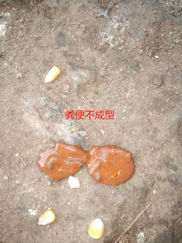 1716880274130571.jpg 1716880274130571.jpg