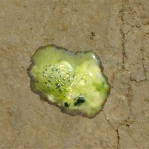 1716880274418139.jpg 1716880274418139.jpg