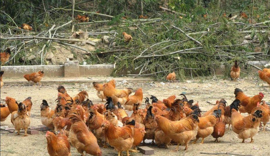 截图20250915090810.png 截图20250915090810.png